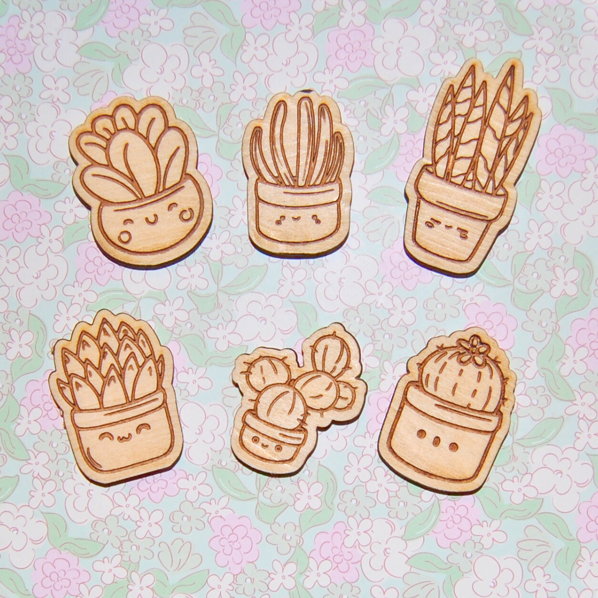 Magnetset Sukkulenten